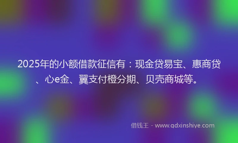 2025年的小额借款征信有：现金贷易宝、惠商贷、心e金、翼支付橙分期、贝壳商城等。
