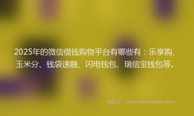 2025年的微信借钱购物平台有哪些有：乐享购、玉米分、钱袋速融、闪电钱包、瑞信宝钱包等。