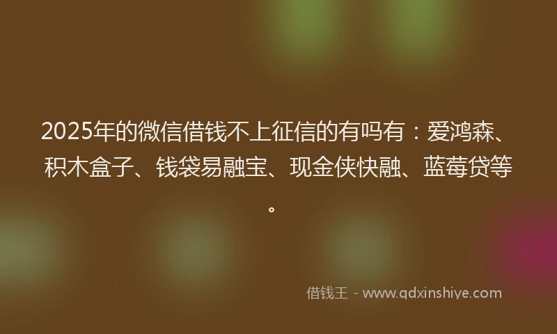 2025年的微信借钱不上征信的有吗有：爱鸿森、积木盒子、钱袋易融宝、现金侠快融、蓝莓贷等。
