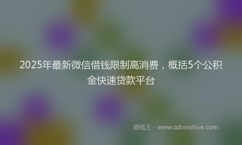 2025年最新微信借钱限制高消费，概括5个公积金快速贷款平台