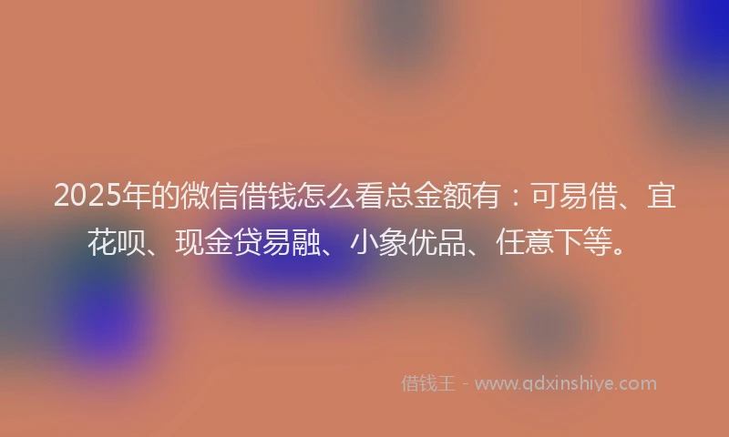 2025年的微信借钱怎么看总金额有：可易借、宜花呗、现金贷易融、小象优品、任意下等。