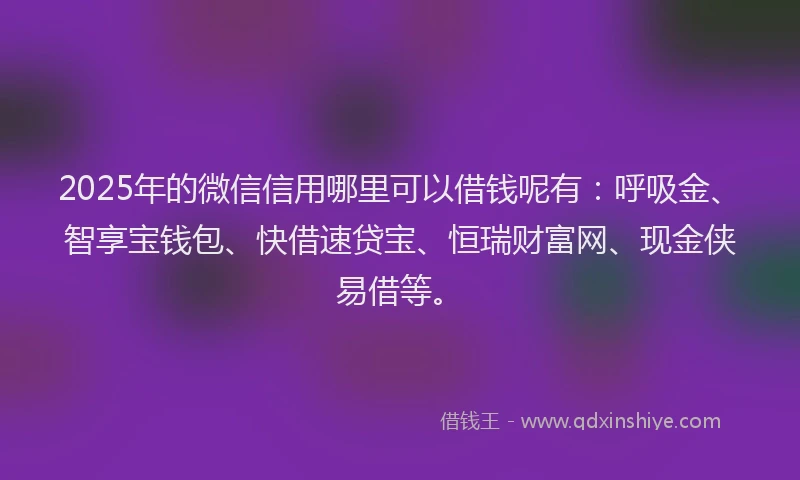 2025年的微信信用哪里可以借钱呢有：呼吸金、智享宝钱包、快借速贷宝、恒瑞财富网、现金侠易借等。