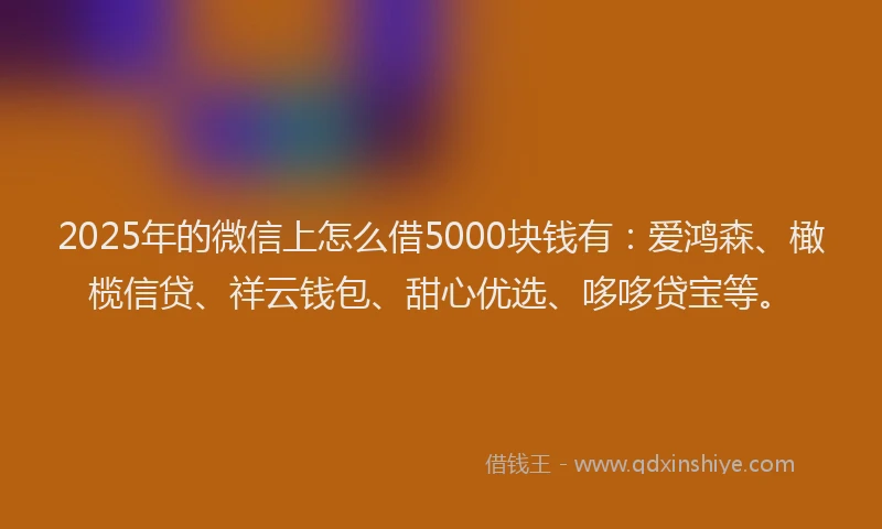 2025年的微信上怎么借5000块钱有：爱鸿森、橄榄信贷、祥云钱包、甜心优选、哆哆贷宝等。