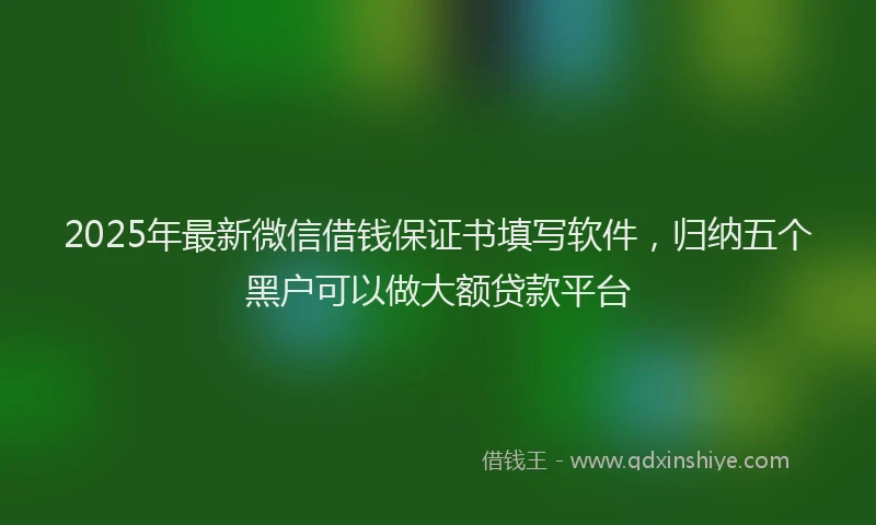 2025年最新微信借钱保证书填写软件，归纳五个黑户可以做大额贷款平台