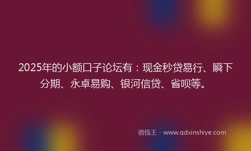 2025年的小额口子论坛有：现金秒贷易行、瞬下分期、永卓易购、银河信贷、省呗等。