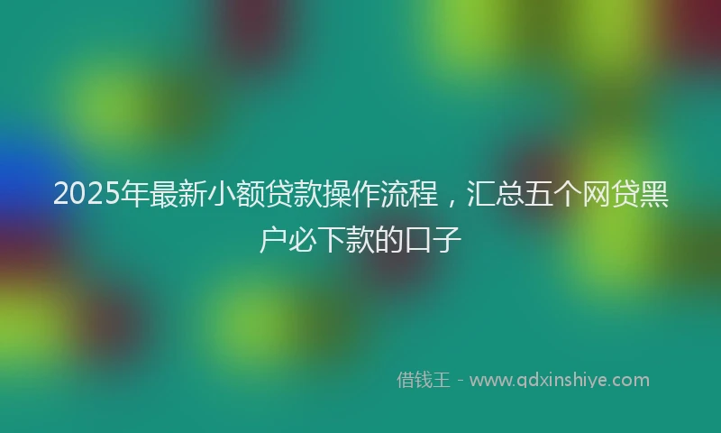 2025年最新小额贷款操作流程，汇总五个网贷黑户必下款的口子