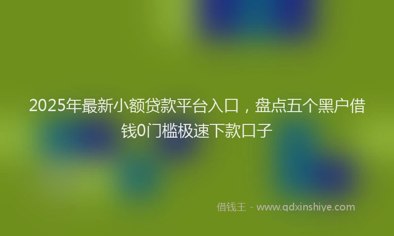 2025年最新小额贷款平台入口，盘点五个黑户借钱0门槛极速下款口子