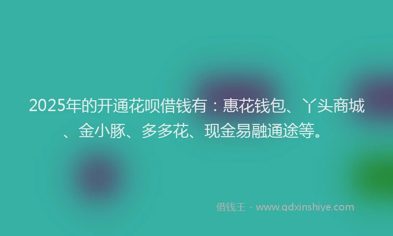 2025年的开通花呗借钱有：惠花钱包、丫头商城、金小豚、多多花、现金易融通途等。