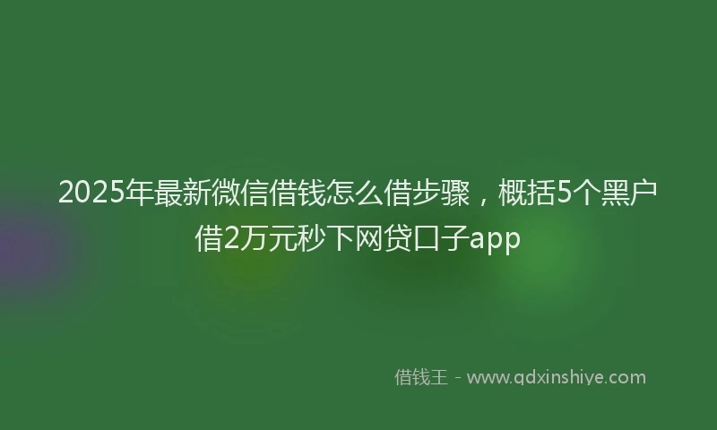 2025年最新微信借钱怎么借步骤，概括5个黑户借2万元秒下网贷口子app