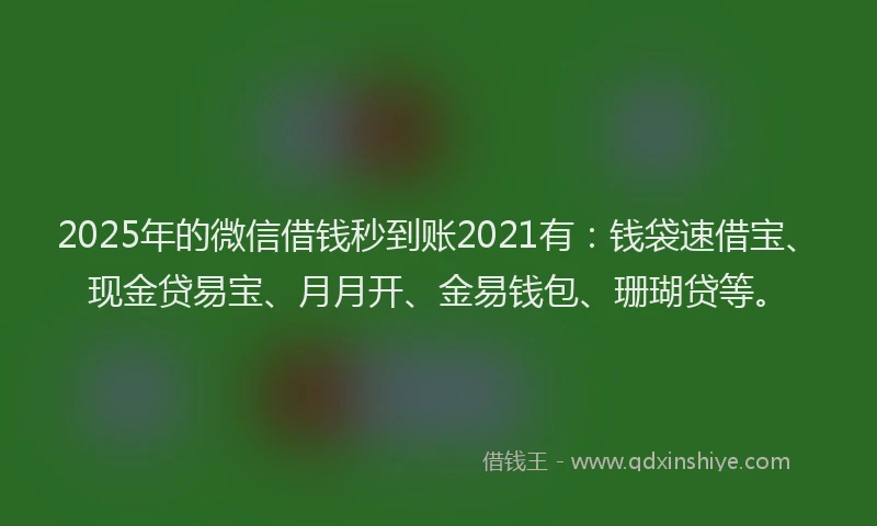 2025年的微信借钱秒到账2021有：钱袋速借宝、现金贷易宝、月月开、金易钱包、珊瑚贷等。