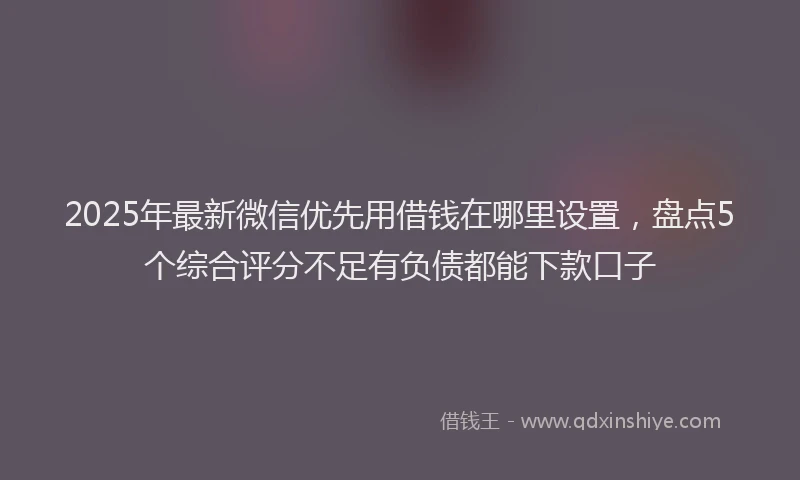 2025年最新微信优先用借钱在哪里设置，盘点5个综合评分不足有负债都能下款口子
