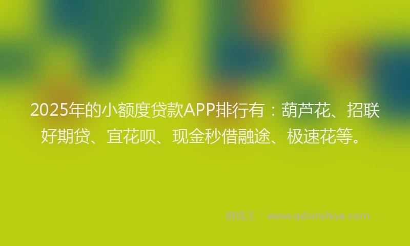 2025年的小额度贷款APP排行有：葫芦花、招联好期贷、宜花呗、现金秒借融途、极速花等。