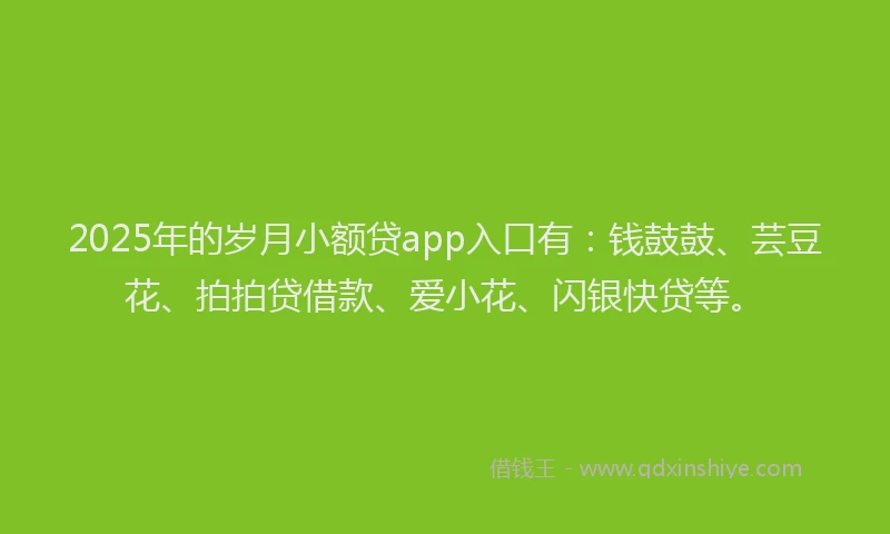 2025年的岁月小额贷app入口有：钱鼓鼓、芸豆花、拍拍贷借款、爱小花、闪银快贷等。