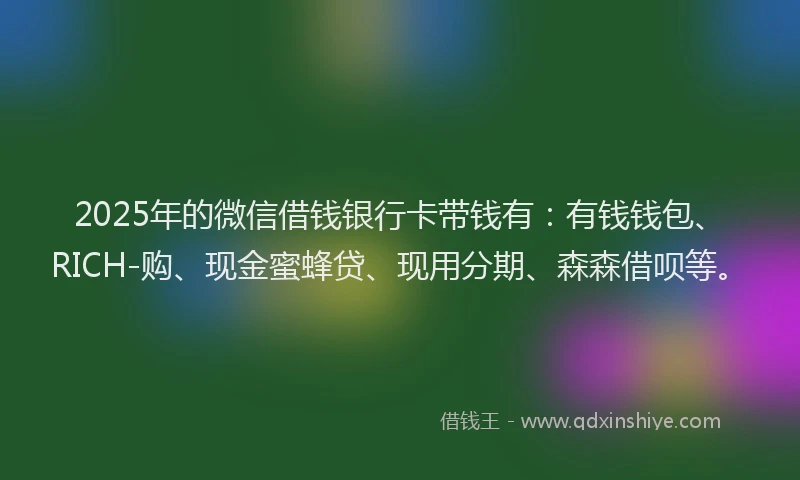 2025年的微信借钱银行卡带钱有：有钱钱包、RICH-购、现金蜜蜂贷、现用分期、森森借呗等。