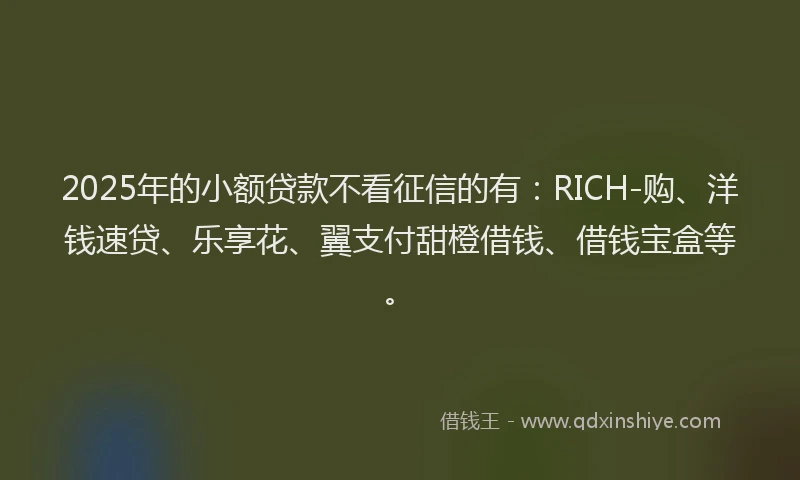 2025年的小额贷款不看征信的有：RICH-购、洋钱速贷、乐享花、翼支付甜橙借钱、借钱宝盒等。