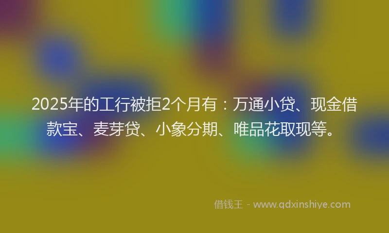 2025年的工行被拒2个月有：万通小贷、现金借款宝、麦芽贷、小象分期、唯品花取现等。