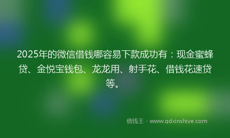 2025年的微信借钱哪容易下款成功有：现金蜜蜂贷、金悦宝钱包、龙龙用、射手花、借钱花速贷等。
