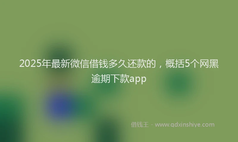 2025年最新微信借钱多久还款的，概括5个网黑逾期下款app