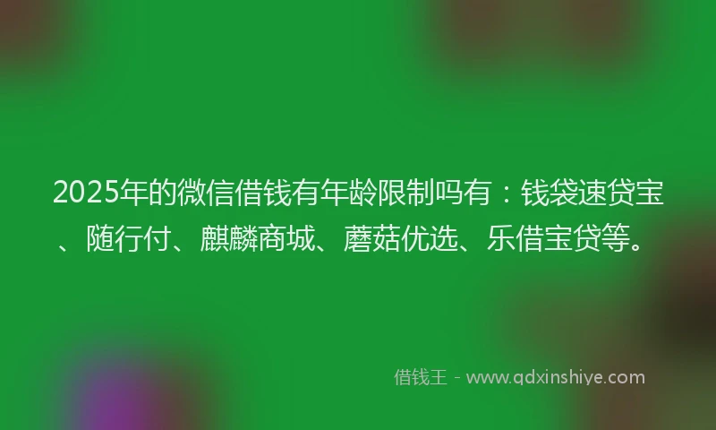 2025年的微信借钱有年龄限制吗有：钱袋速贷宝、随行付、麒麟商城、蘑菇优选、乐借宝贷等。