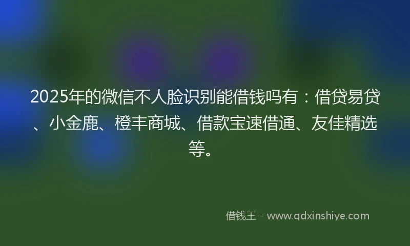2025年的微信不人脸识别能借钱吗有：借贷易贷、小金鹿、橙丰商城、借款宝速借通、友佳精选等。