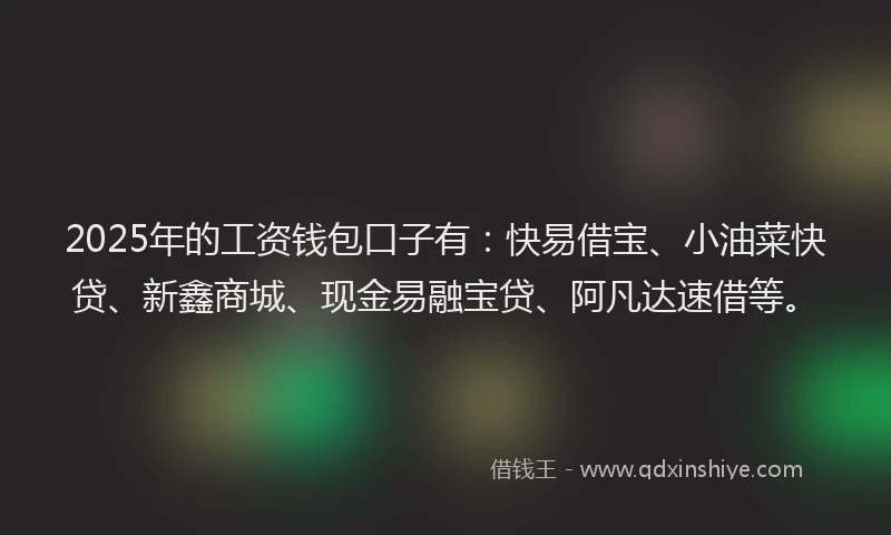 2025年的工资钱包口子有：快易借宝、小油菜快贷、新鑫商城、现金易融宝贷、阿凡达速借等。