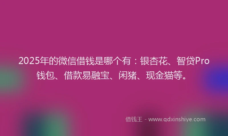 2025年的微信借钱是哪个有：银杏花、智贷Pro钱包、借款易融宝、闲猪、现金猫等。