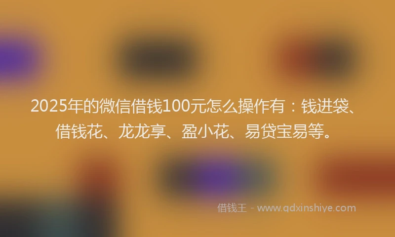 2025年的微信借钱100元怎么操作有：钱进袋、借钱花、龙龙享、盈小花、易贷宝易等。