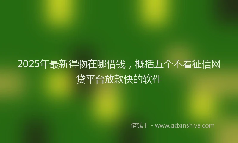 2025年最新得物在哪借钱，概括五个不看征信网贷平台放款快的软件