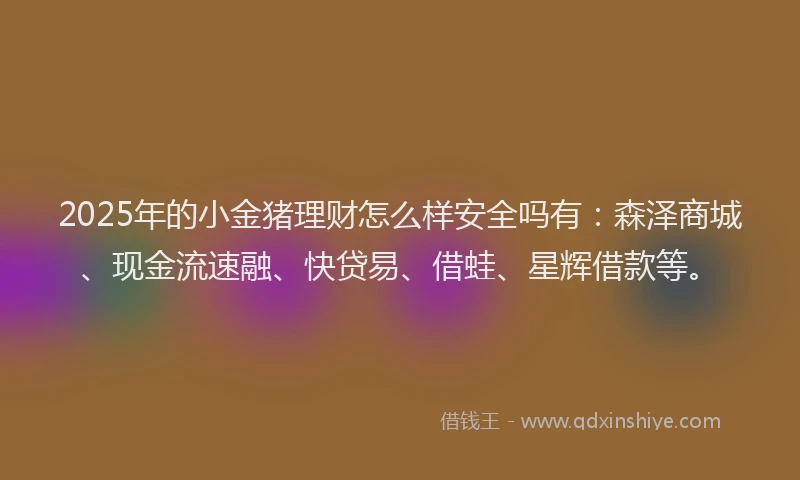 2025年的小金猪理财怎么样安全吗有：森泽商城、现金流速融、快贷易、借蛙、星辉借款等。