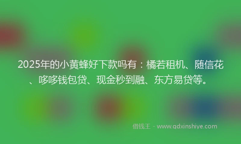2025年的小黄蜂好下款吗有：橘若租机、随信花、哆哆钱包贷、现金秒到融、东方易贷等。