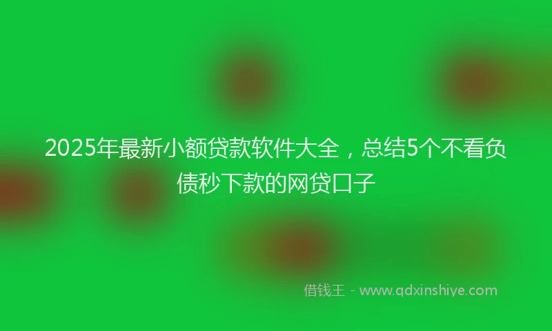 2025年最新小额贷款软件大全，总结5个不看负债秒下款的网贷口子