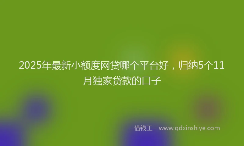 2025年最新小额度网贷哪个平台好，归纳5个11月独家贷款的口子