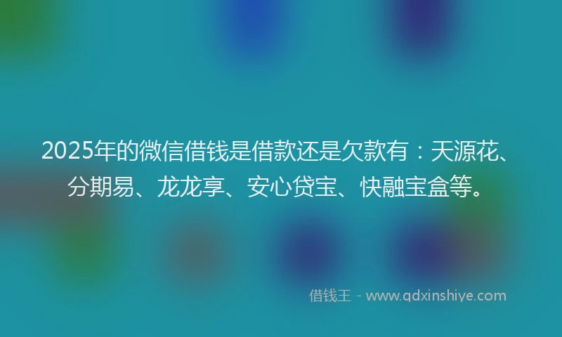 2025年的微信借钱是借款还是欠款有：天源花、分期易、龙龙享、安心贷宝、快融宝盒等。