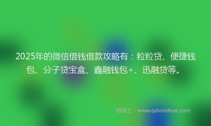 2025年的微信借钱借款攻略有：粒粒贷、便捷钱包、分子贷宝盒、鑫融钱包+、迅融贷等。