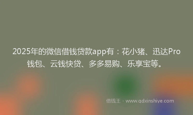 2025年的微信借钱贷款app有：花小猪、迅达Pro钱包、云钱快贷、多多易购、乐享宝等。