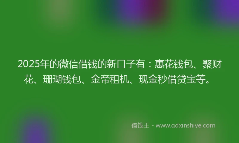 2025年的微信借钱的新口子有：惠花钱包、聚财花、珊瑚钱包、金帝租机、现金秒借贷宝等。