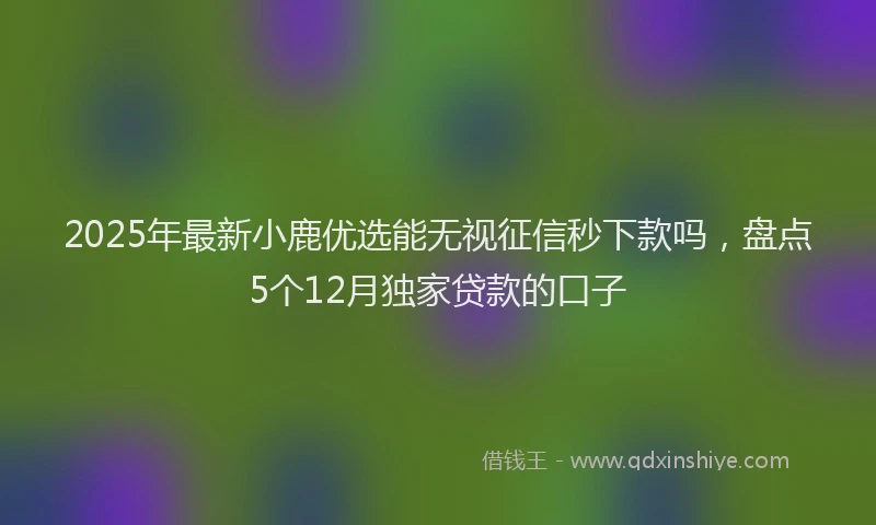 2025年最新小鹿优选能无视征信秒下款吗，盘点5个12月独家贷款的口子