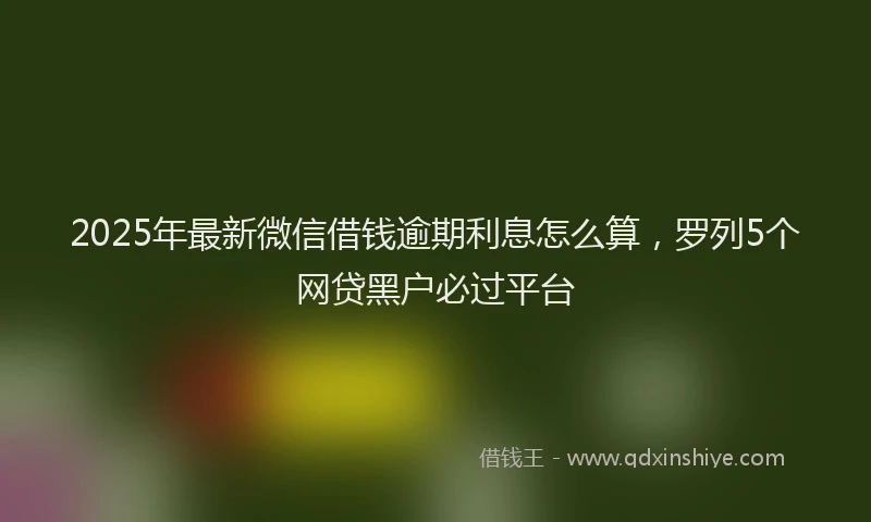 2025年最新微信借钱逾期利息怎么算，罗列5个网贷黑户必过平台
