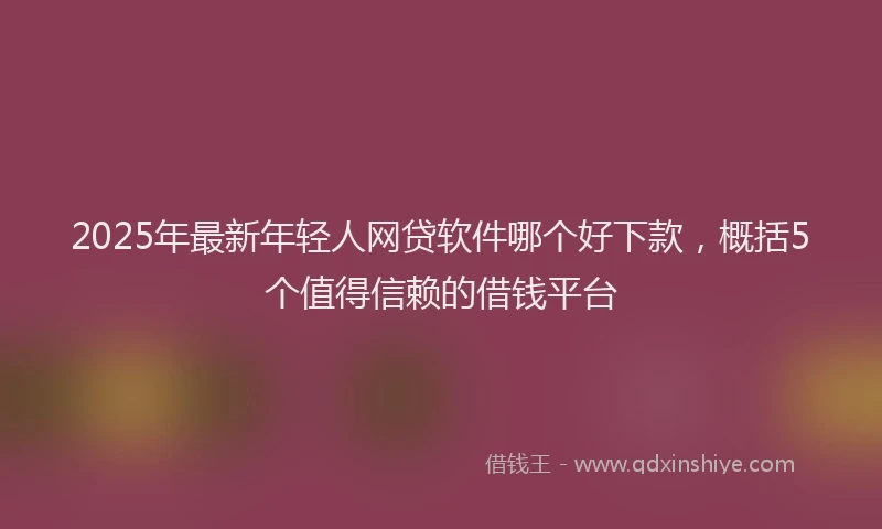 2025年最新年轻人网贷软件哪个好下款，概括5个值得信赖的借钱平台