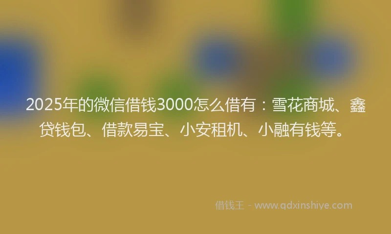 2025年的微信借钱3000怎么借有：雪花商城、鑫贷钱包、借款易宝、小安租机、小融有钱等。