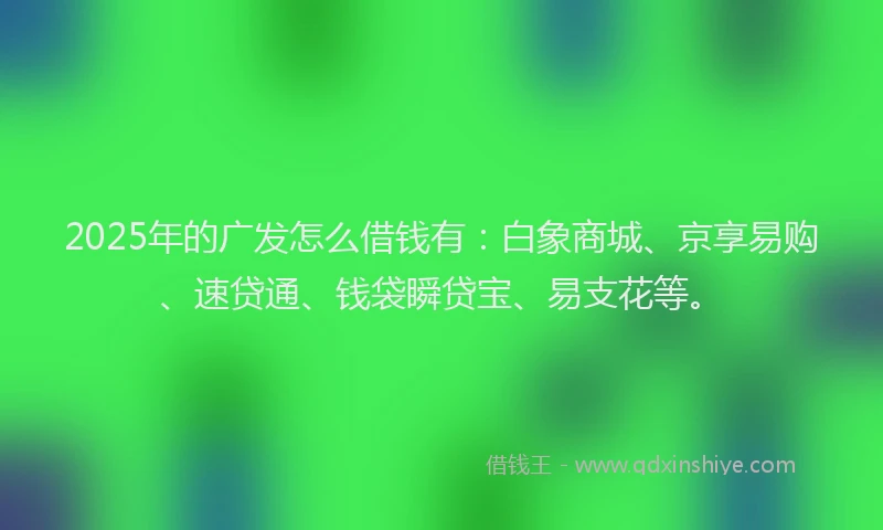 2025年的广发怎么借钱有：白象商城、京享易购、速贷通、钱袋瞬贷宝、易支花等。