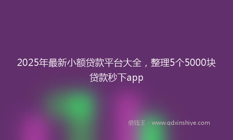 2025年最新小额贷款平台大全，整理5个5000块贷款秒下app