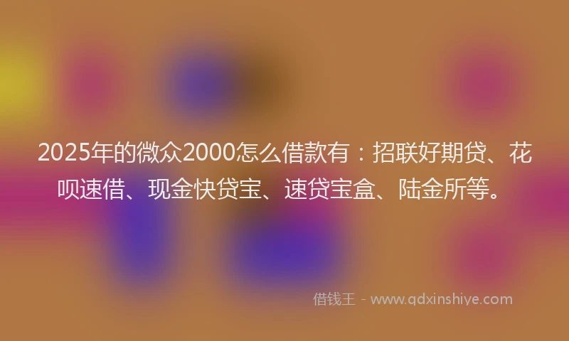 2025年的微众2000怎么借款有：招联好期贷、花呗速借、现金快贷宝、速贷宝盒、陆金所等。