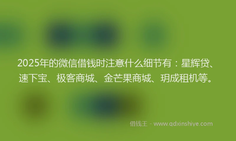 2025年的微信借钱时注意什么细节有：星辉贷、速下宝、极客商城、金芒果商城、玥成租机等。