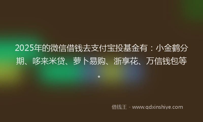 2025年的微信借钱去支付宝投基金有：小金鹤分期、哆来米贷、萝卜易购、浙享花、万信钱包等。