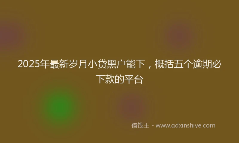 2025年最新岁月小贷黑户能下，概括五个逾期必下款的平台