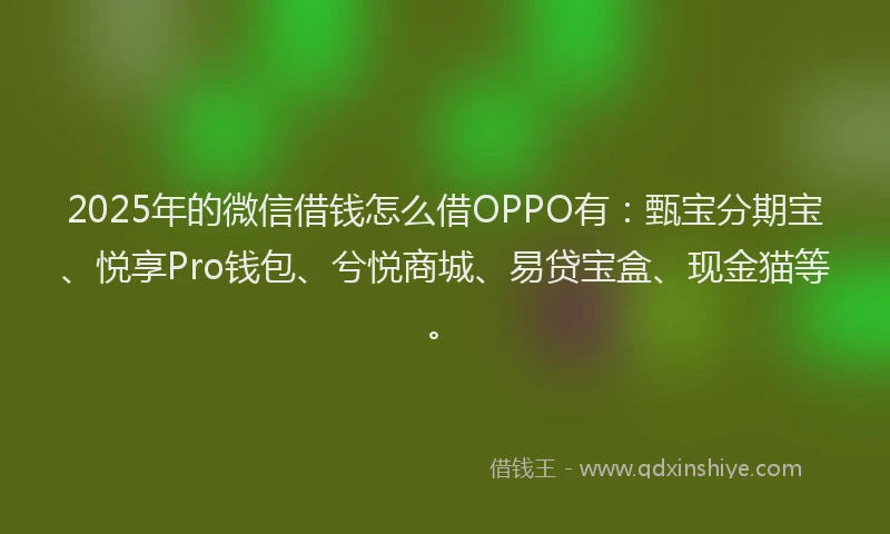 2025年的微信借钱怎么借OPPO有：甄宝分期宝、悦享Pro钱包、兮悦商城、易贷宝盒、现金猫等。