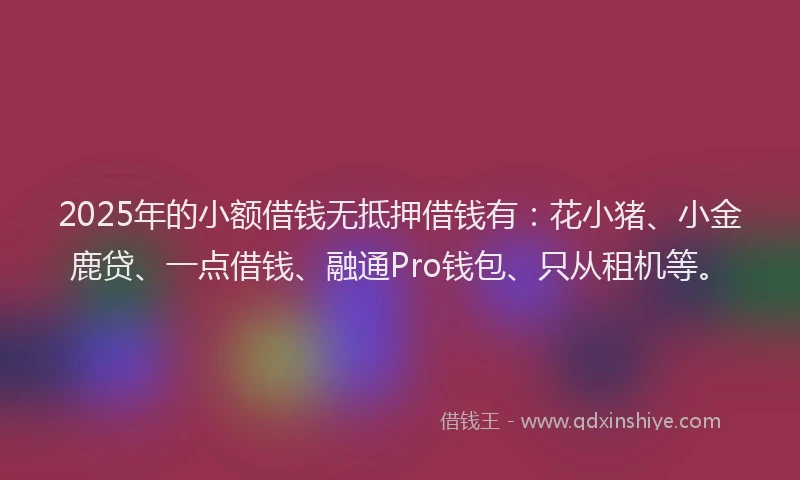 2025年的小额借钱无抵押借钱有：花小猪、小金鹿贷、一点借钱、融通Pro钱包、只从租机等。