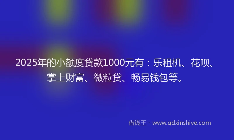 2025年的小额度贷款1000元有：乐租机、花呗、掌上财富、微粒贷、畅易钱包等。