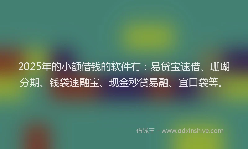 2025年的小额借钱的软件有：易贷宝速借、珊瑚分期、钱袋速融宝、现金秒贷易融、宜口袋等。